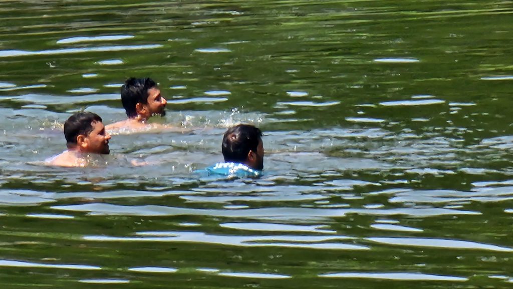 bath in the pond